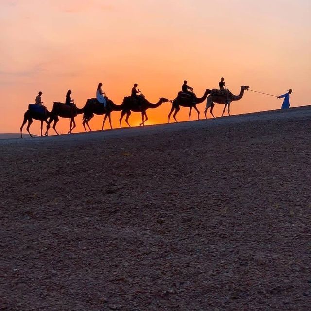 Marrakech: Agafay Quad Bike, Giro in cammello al tramonto con cena