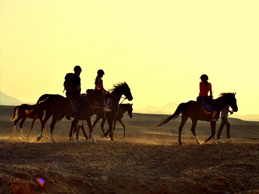 Hurghada: Tour a cavallo nel mare e nel deserto, osservazione delle stelle, cena e spettacolo