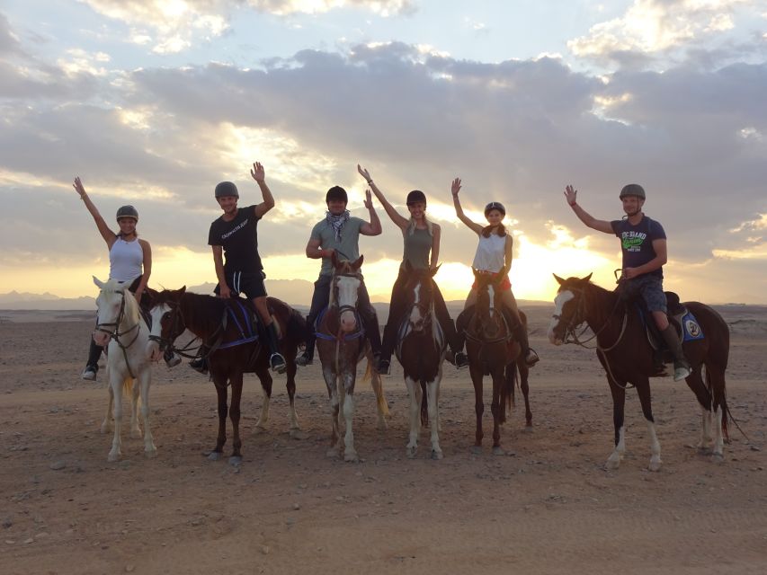 Hurghada: Tour a cavallo nel mare e nel deserto, osservazione delle stelle, cena e spettacolo