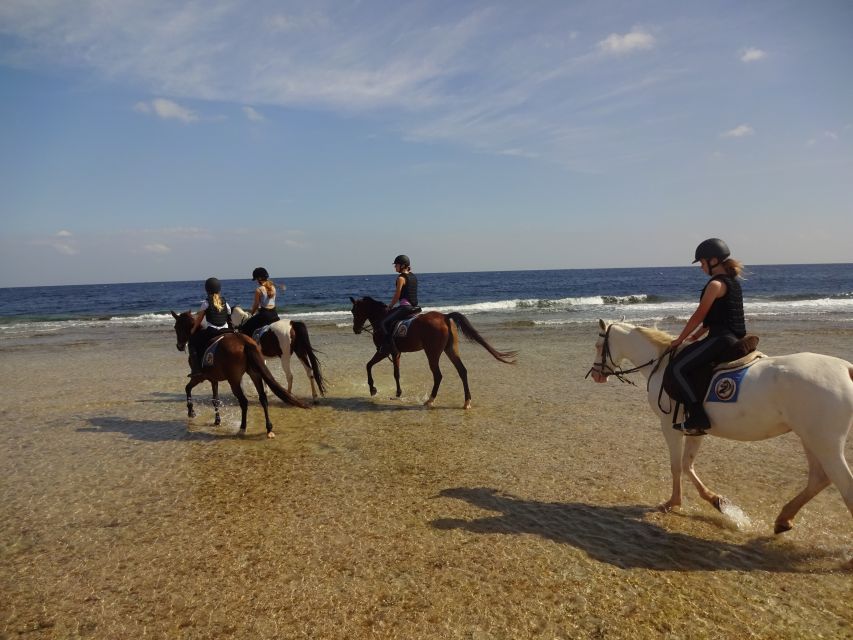 Hurghada: Tour a cavallo nel mare e nel deserto, osservazione delle stelle, cena e spettacolo