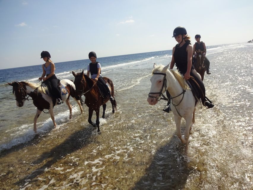 Hurghada: Tour a cavallo nel mare e nel deserto, osservazione delle stelle, cena e spettacolo