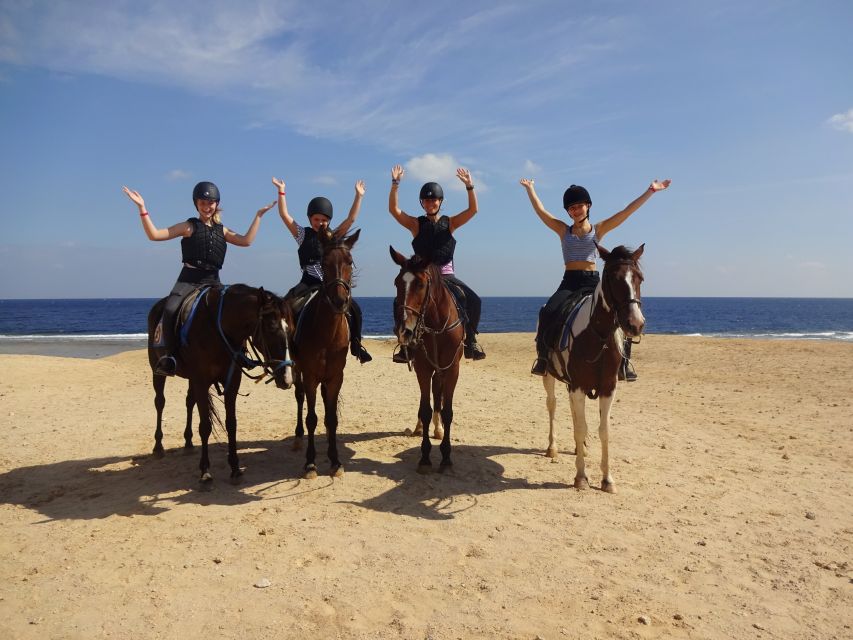 Hurghada: Tour a cavallo nel mare e nel deserto, osservazione delle stelle, cena e spettacolo