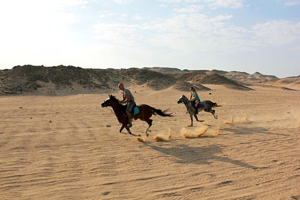 Hurghada: Tour a cavallo nel mare e nel deserto, osservazione delle stelle, cena e spettacolo