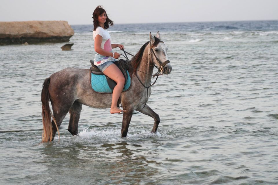 Hurghada: Tour a cavallo nel mare e nel deserto, osservazione delle stelle, cena e spettacolo