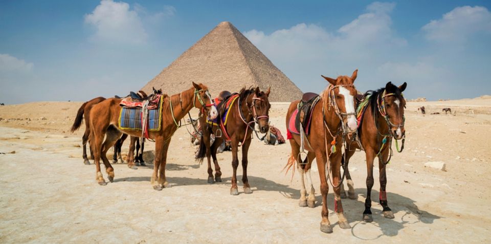 Giza: Tour a cavallo arabo intorno alle piramidi di Giza