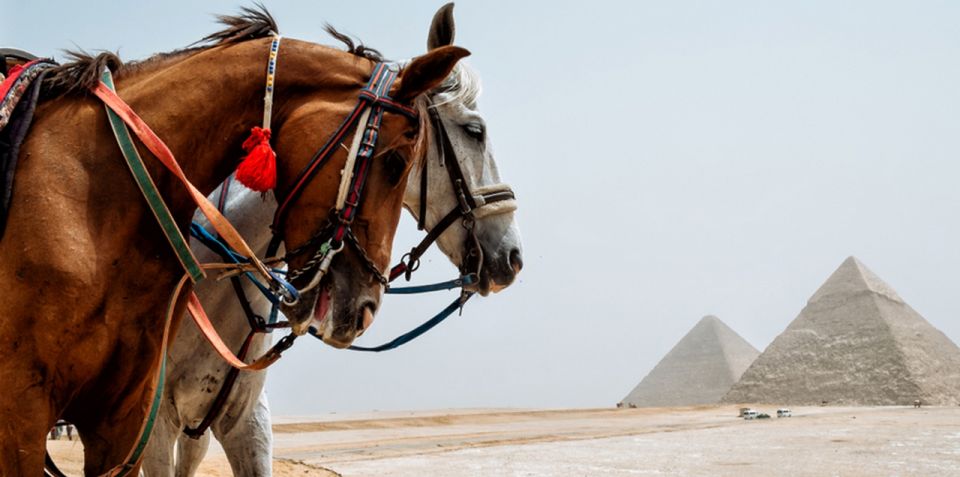 Giza: Tour a cavallo arabo intorno alle piramidi di Giza