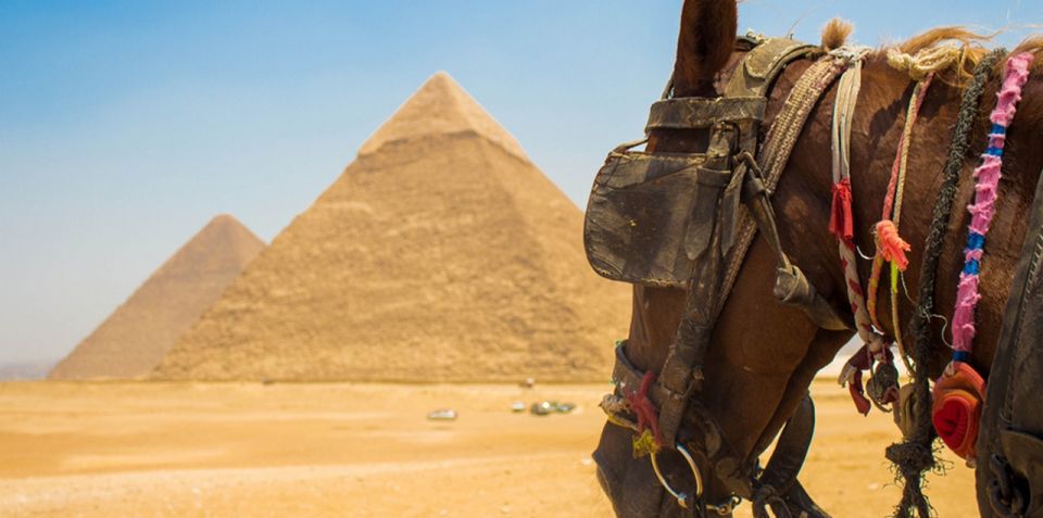 Giza: Tour a cavallo arabo intorno alle piramidi di Giza