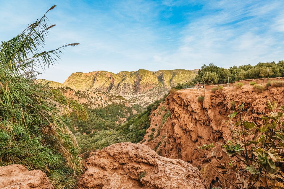 Marrakech: Tour in quad all'oasi delle palme e al deserto di Jbilat